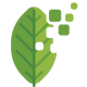 COMPOSTABLE